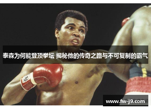 泰森为何能登顶拳坛 揭秘他的传奇之路与不可复制的霸气