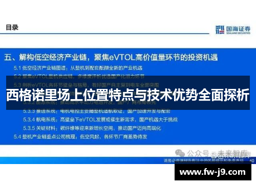 西格诺里场上位置特点与技术优势全面探析 西格诺里场上位置特点与技术优势全面探析